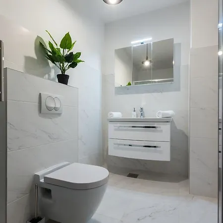 Deluxe Near The Bridge Apartment